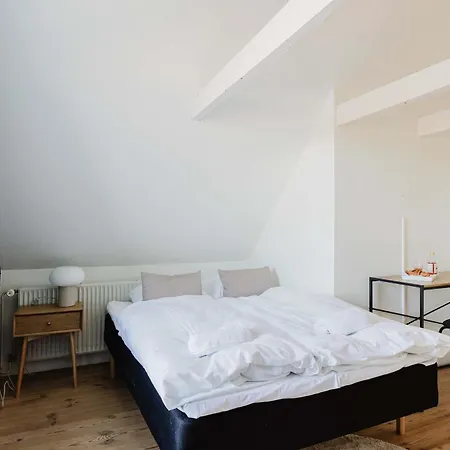 Apartment Doublex Penthouse Odense