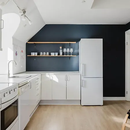 Apartment Doublex Penthouse Odense