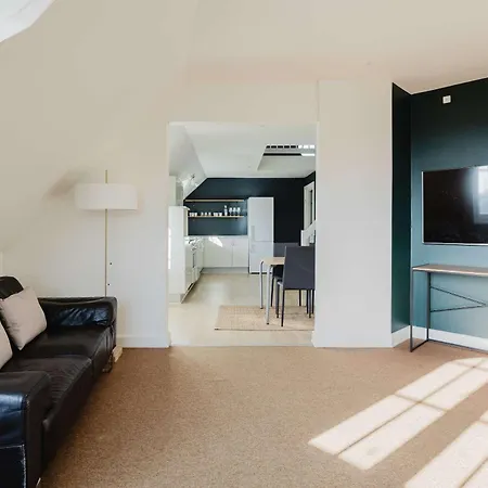Doublex Penthouse Apartment Odense
