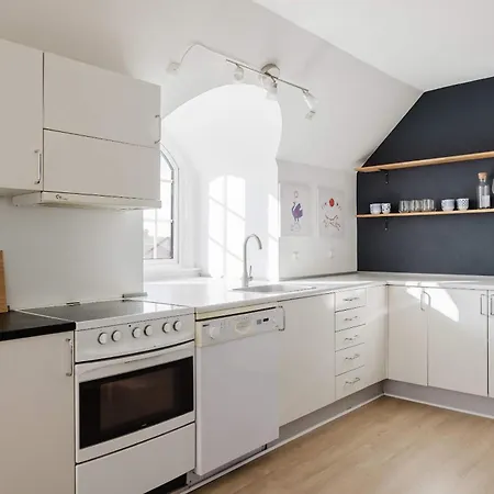 Apartment Doublex Penthouse Odense